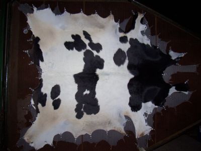 Natural Cowhide